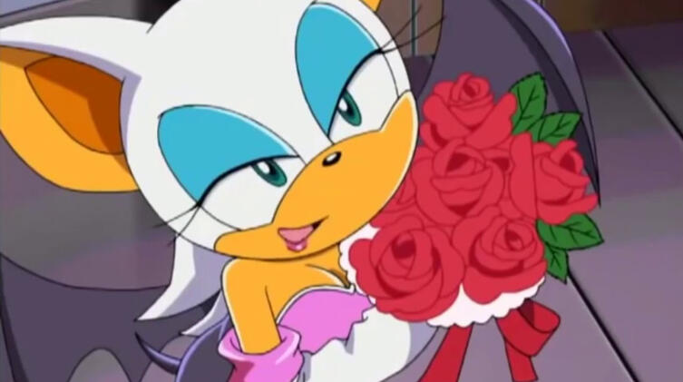 Rouge The Bat in a Sonic X Screenshot